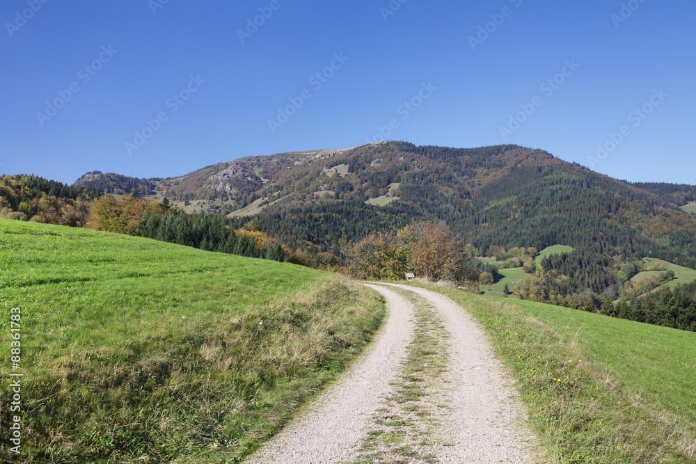Path leading to Belchen Mountain, Black Forest, Baden Wurttemberg, Germany Path leading to Belchen Mountain, Black Forest, Baden Wurttemberg, Germany