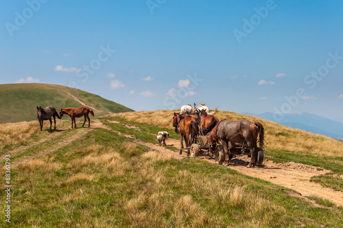 Travelling Gypsy camp with horse and wagon