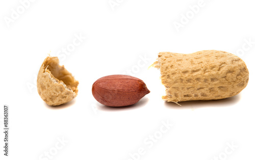 Obraz na plátně Peanuts