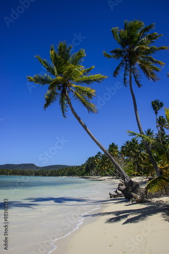 Playa Grande, Las Galeras, Semana peninsula, Dominican Republic #88363593