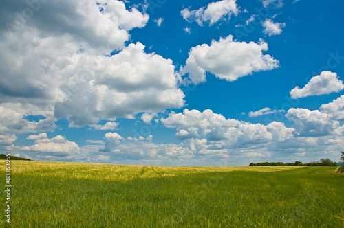 Green field and beautiful sky