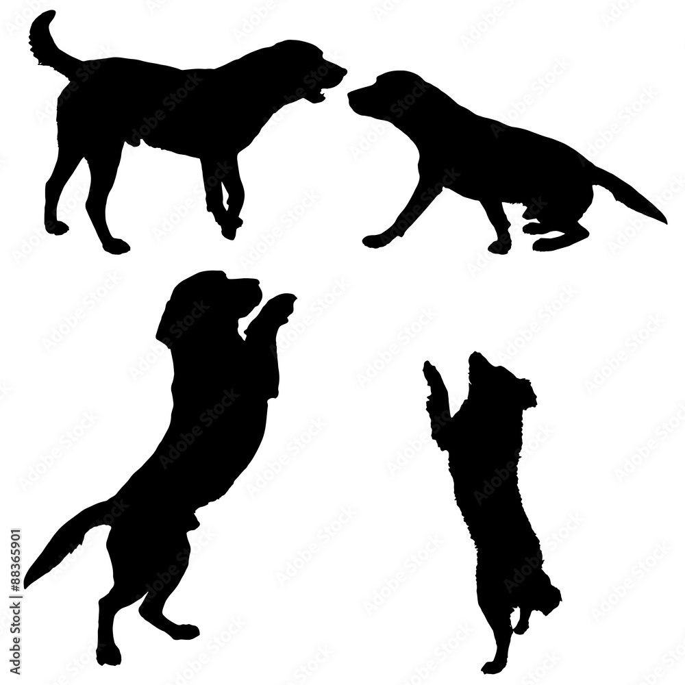 silhouette of dogs