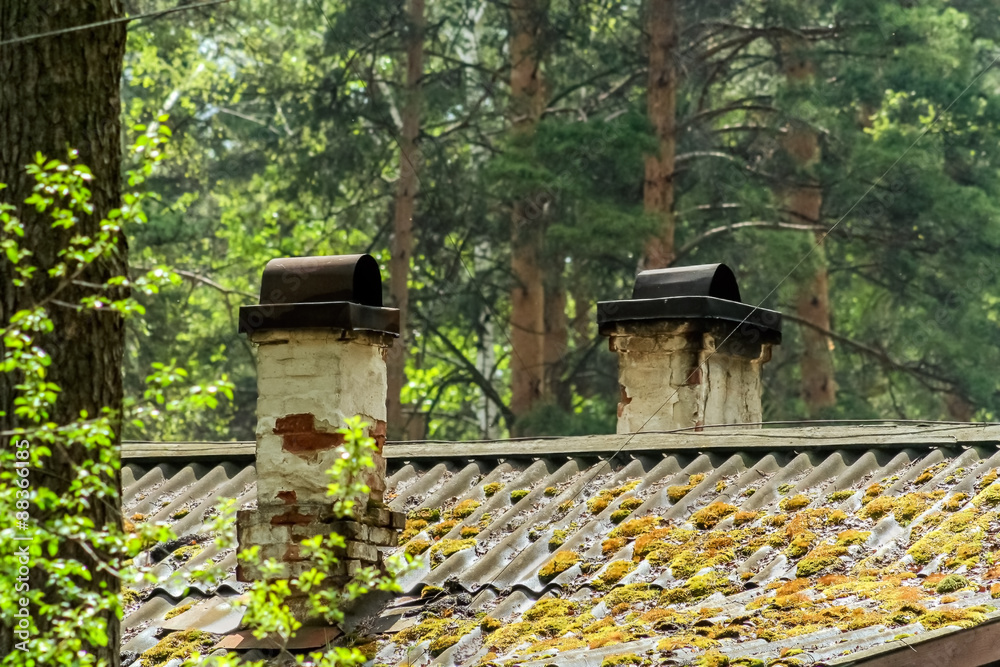 Old roof covered with moss in the forest