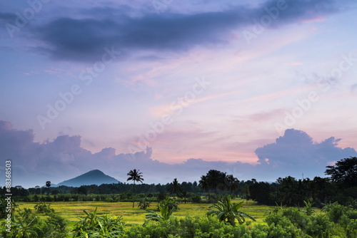 Sri Lanka landscape at sunrise, paddy fields near Dambulla, Central Province, Sri Lanka