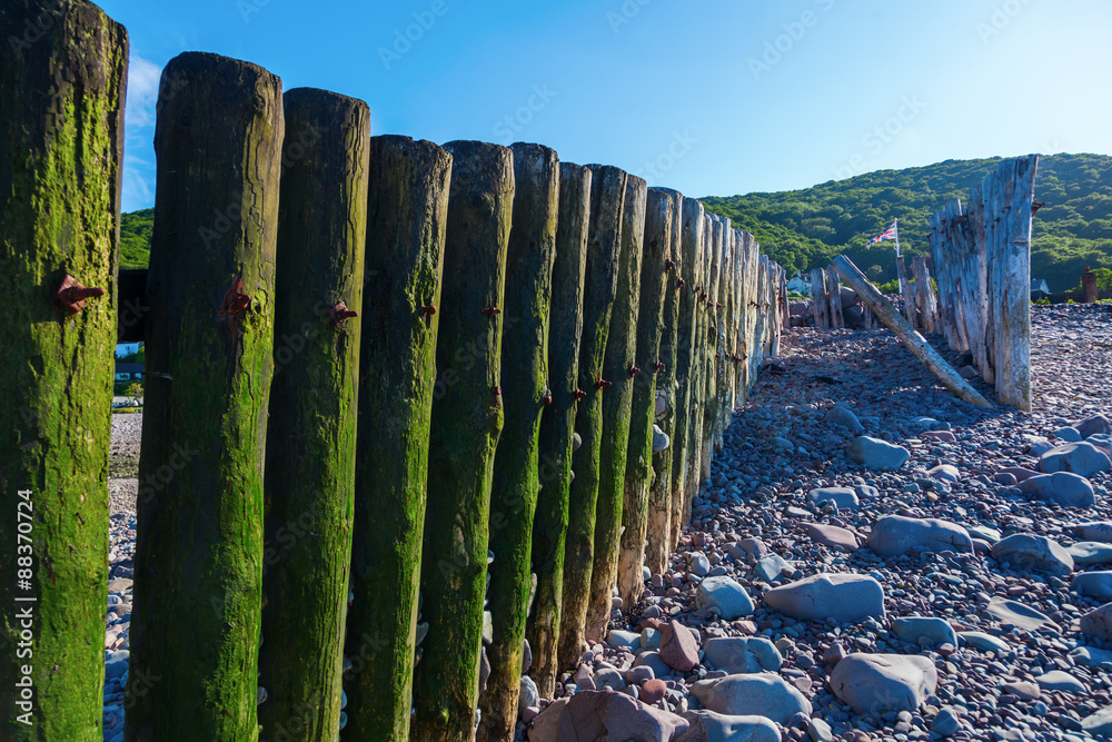 Fototapeta premium Holzpfähle einer Buhne in Porlock Weir, Somerset, England