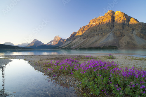 Bow Lake at sunrise, Banff National Park, Alberta, Rocky Mountains, Canada #88371515