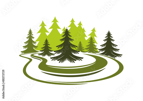 Forest glade with spruces on green grassy meadow