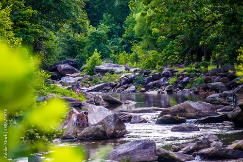 broad river flowing through wooded forest