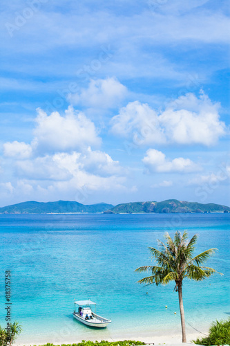 Tropical beach with Coconut palm tree, Okinawa, Japan