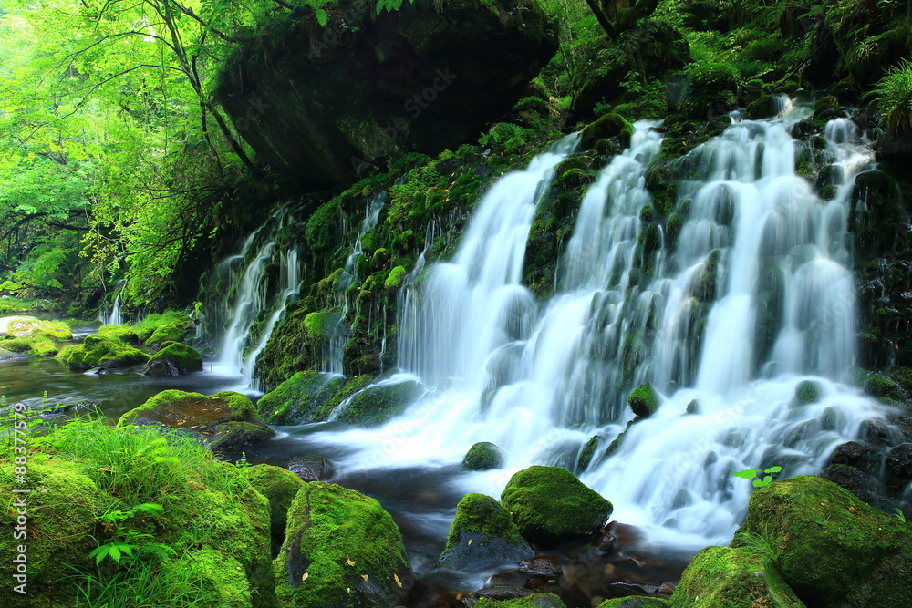 秋田県　夏の元滝伏流水