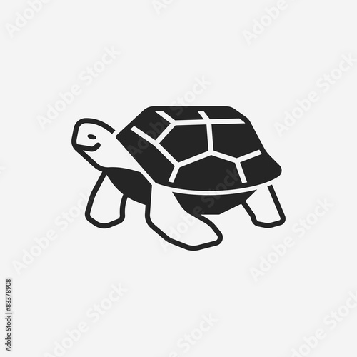 animal turtle icon