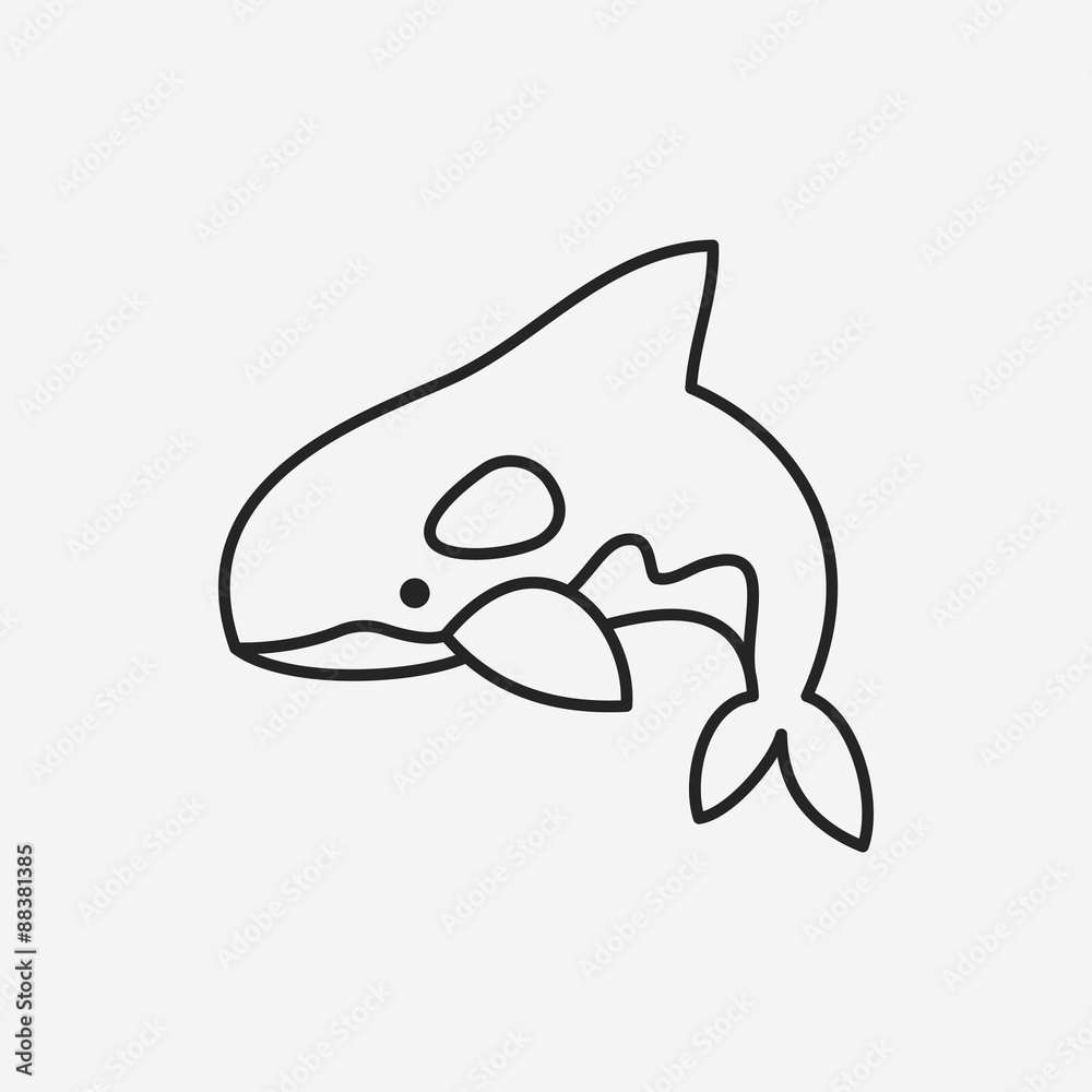 Obraz premium shark line icon