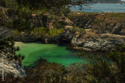 The Beautiful and ever Inspiring Point Lobos in Carmel, California