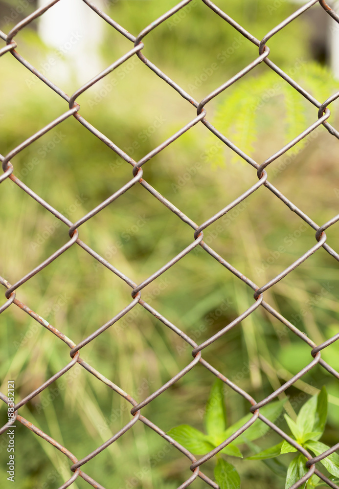 Blur green background behind the fence vertical style Blur green background behind the fence vertical style
