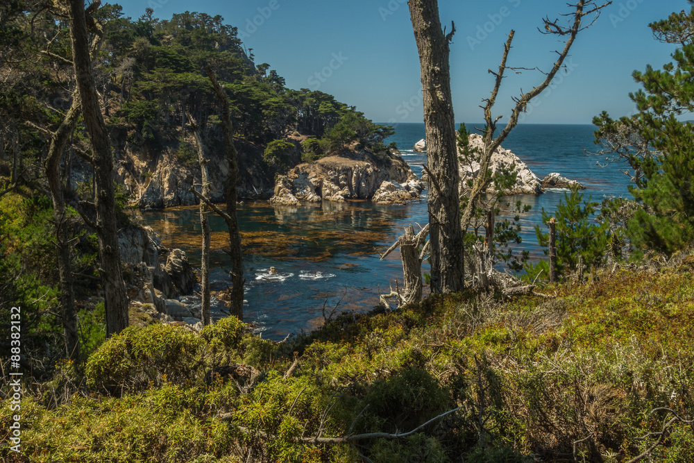 The Beautiful and ever Inspiring Point Lobos in Carmel, California