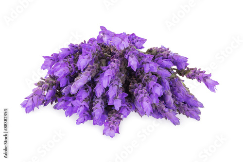 Fototapeta Naklejka Na Ścianę i Meble -  bundle of lavender