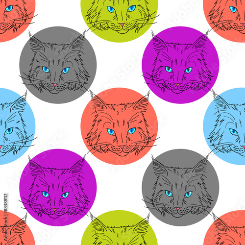 Maine coon pattern