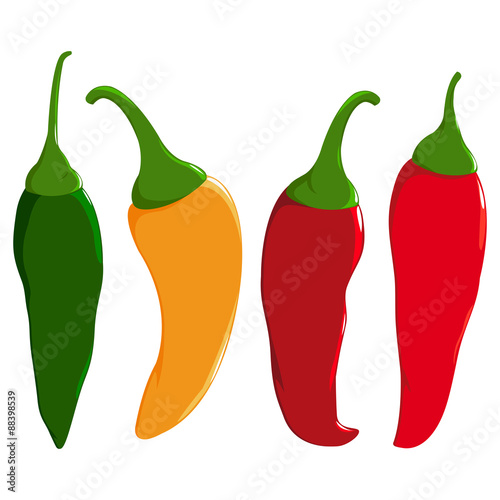 Hot chili peppers in red, green and yellow color. Vector illustration