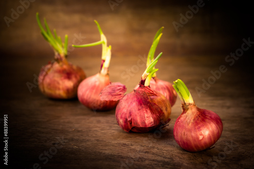 Growth onion