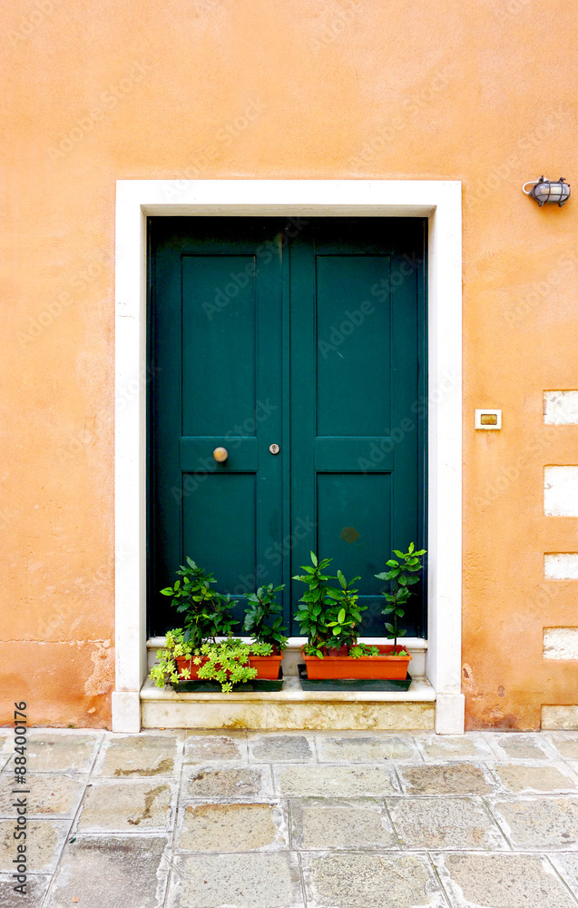 Fototapeta premium entrance green door of old building house