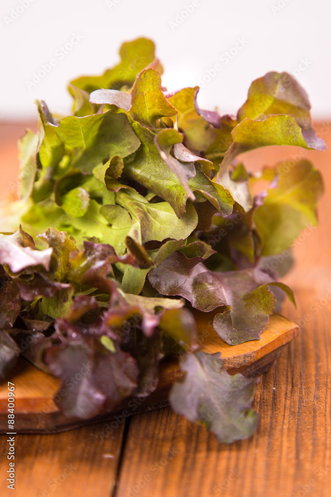 salad salad