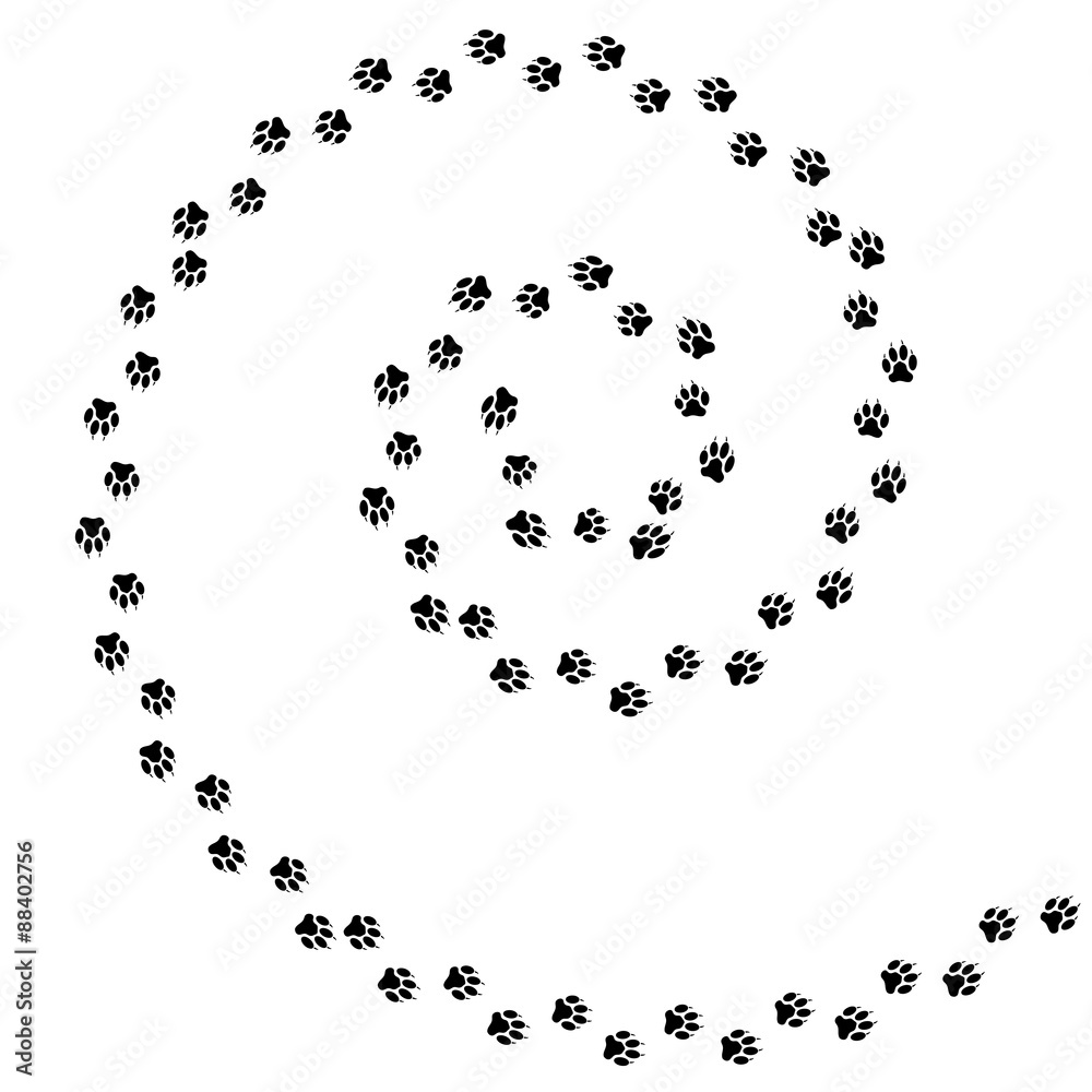 Spiral Animal Prints Spiral Animal Prints