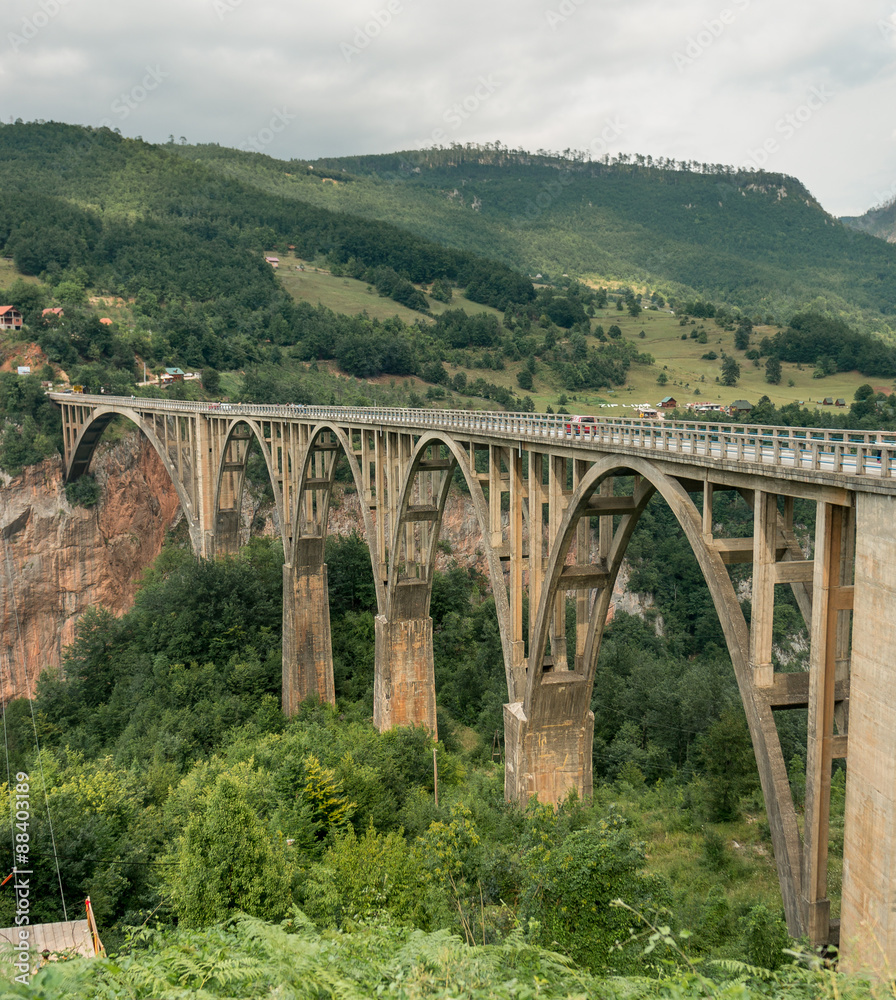 Old big bridge in Durdevica and fantastic view Tara Old big bridge in Durdevica and fantastic view Tara