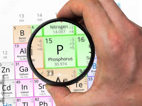 Phosphorus symbol - P. Element of the periodic table zoomed with