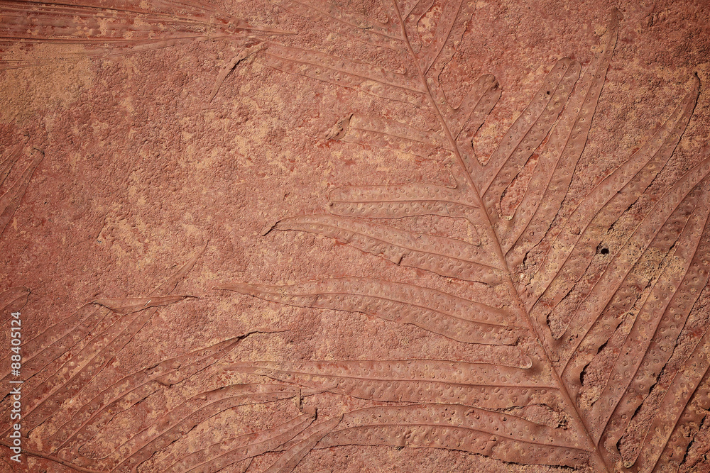 Fototapeta premium marks of leaf on the concrete pavement.