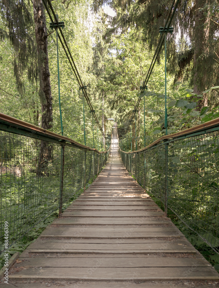 Obraz premium Rope walkway through the treetops in a rain forest