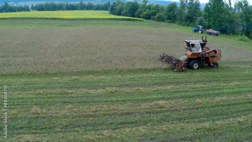 AERIAL: Harvester Mows the Field Mustard
AERIAL: Harvester Mows the Field Mustard