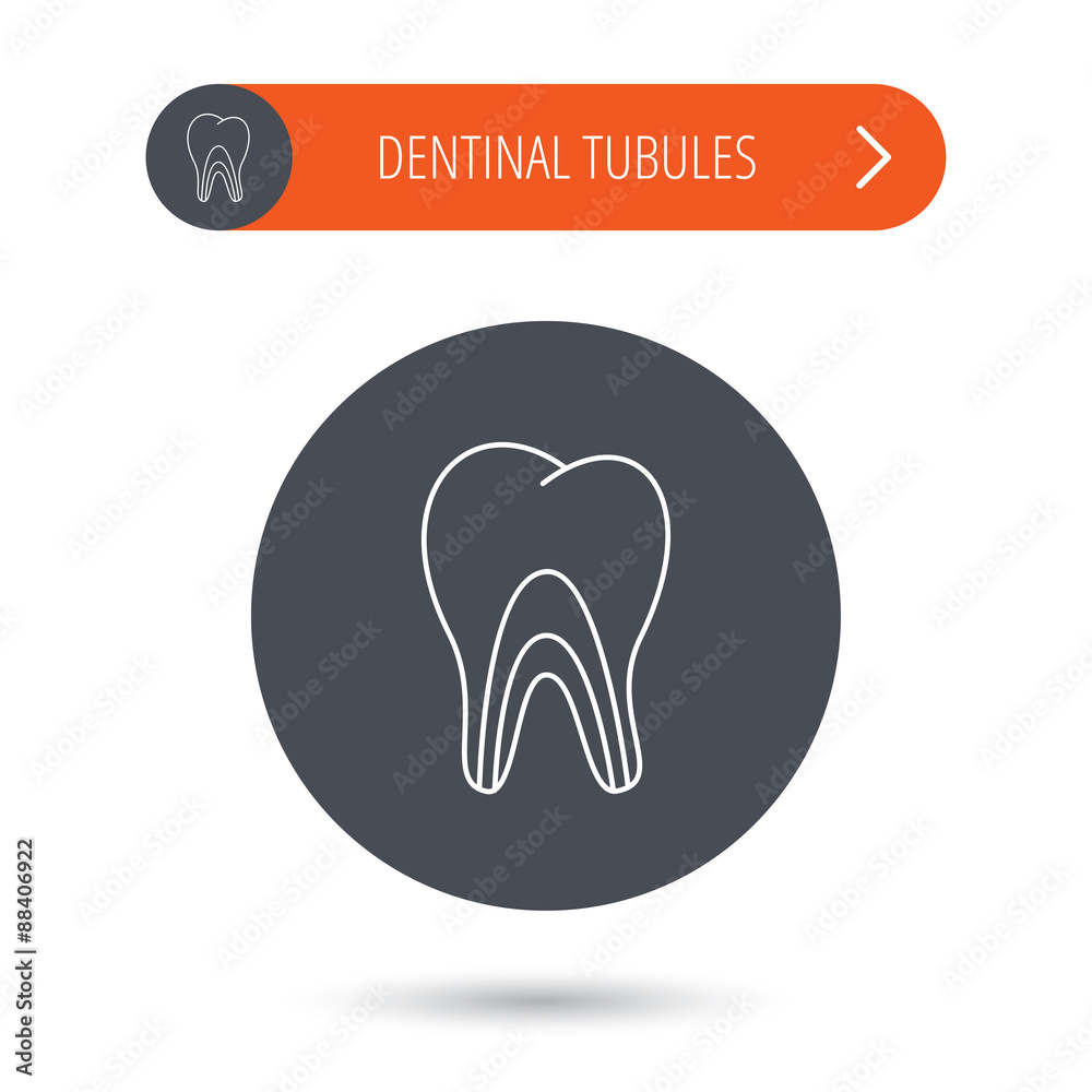 Dentinal tubules icon. Tooth medicine sign. Dentinal tubules icon. Tooth medicine sign.