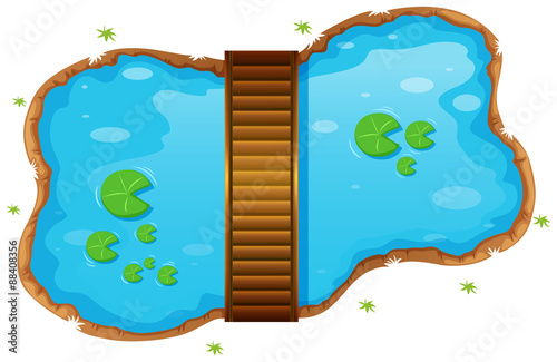 Small pond with a bridge