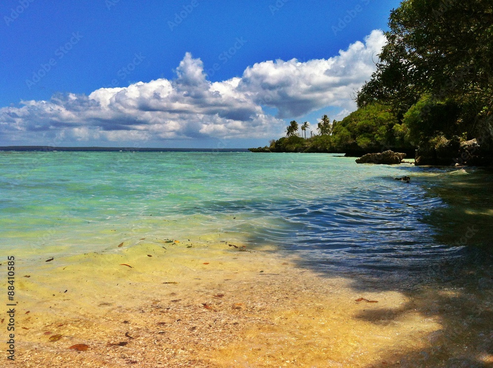 Obraz premium Tropical beach with vegetation