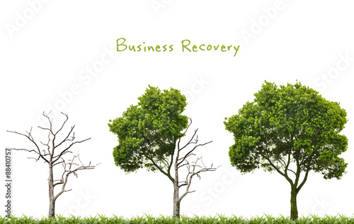 Business recovery concept