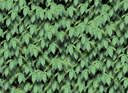 Seamless green leaves pattern