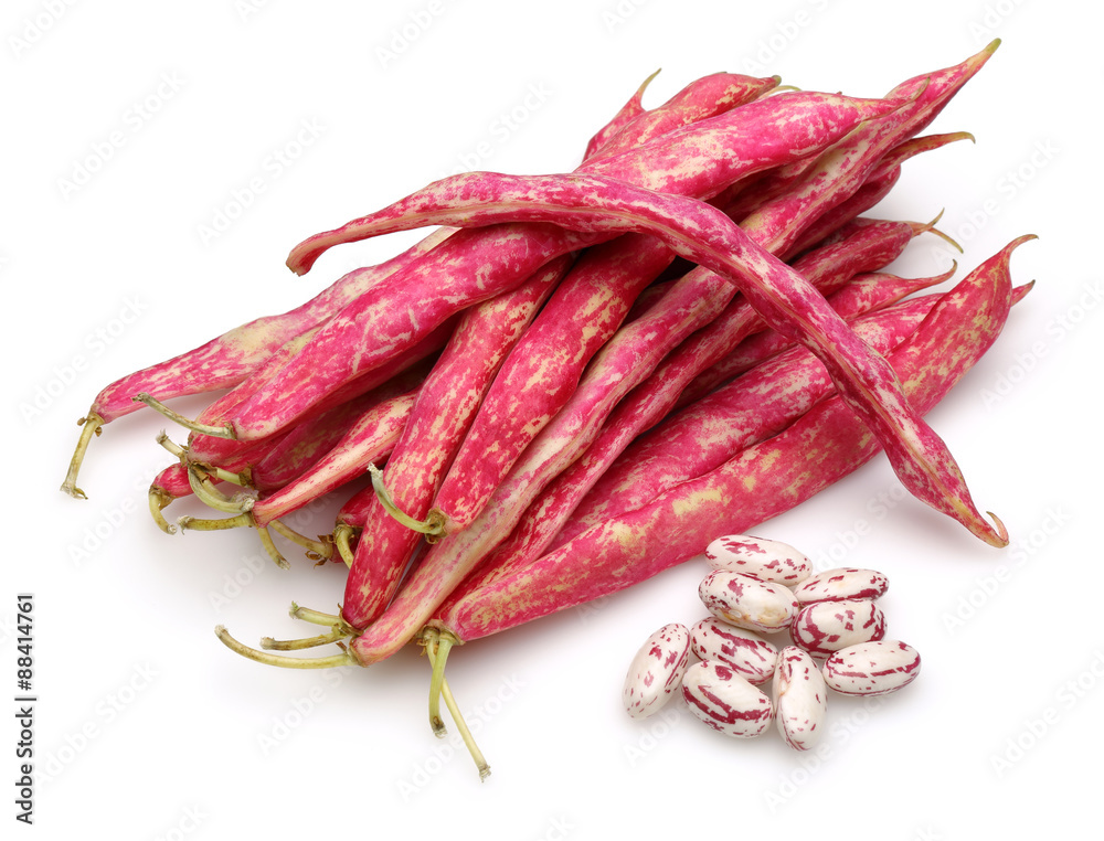 Pinto Beans Pinto Beans