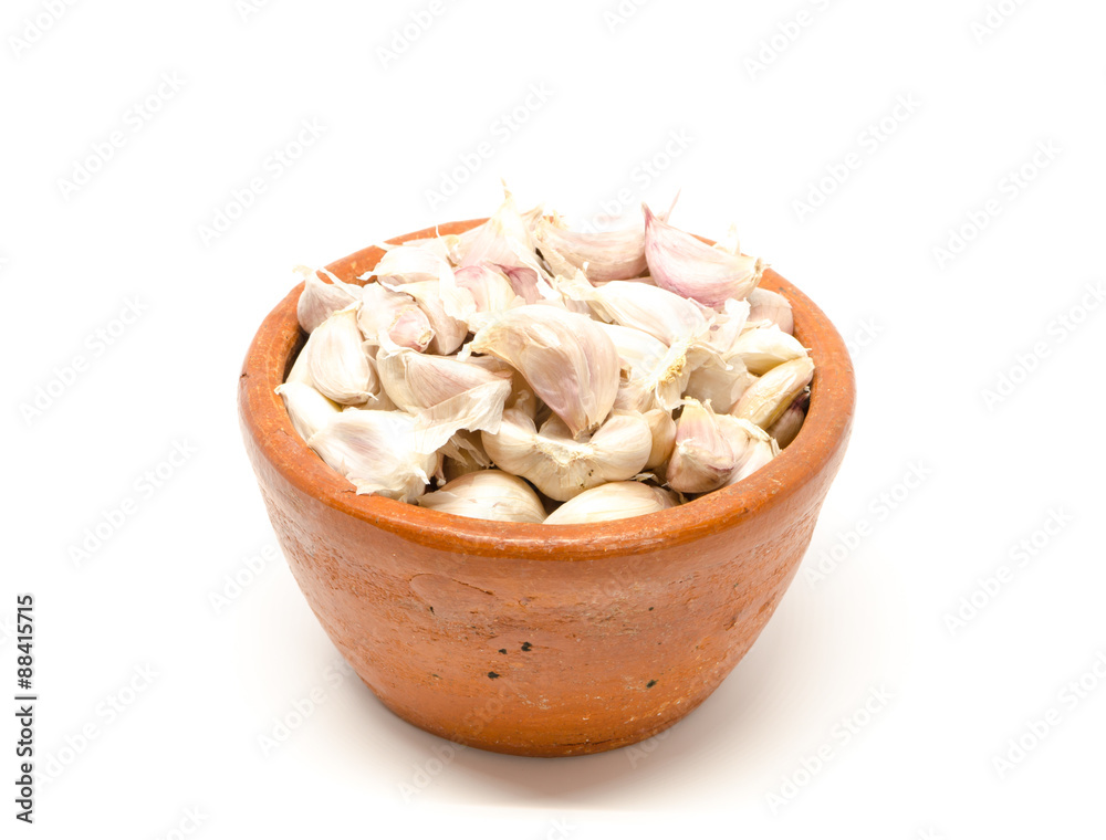 garlics garlics