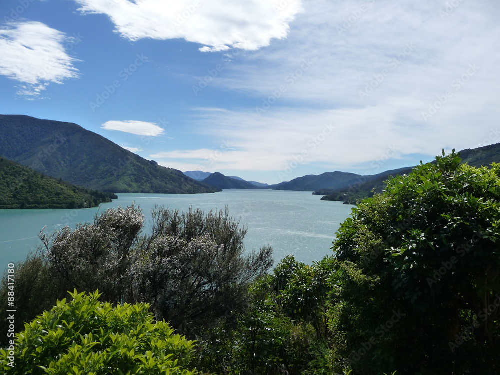 Natur und Landschaft bei einer Wanderung in der Wildnis Neuseelands (Südinsel)