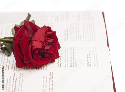 open book and red rose isolated on white