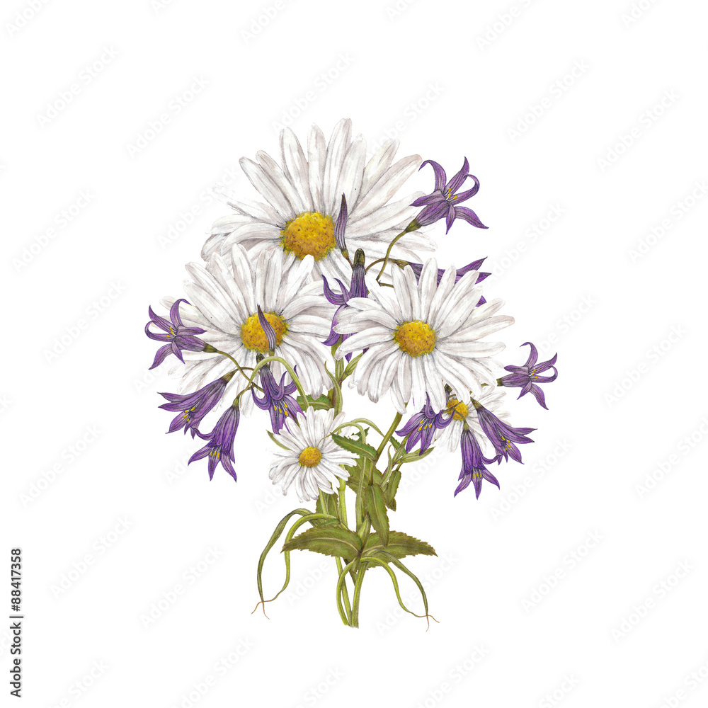 Bouquet of bluebells and chamomile