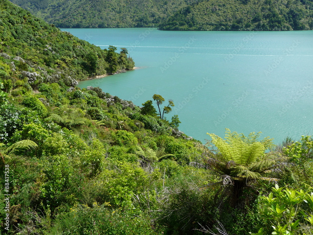 Natur und Landschaft bei einer Wanderung in der Wildnis Neuseelands (Südinsel)
