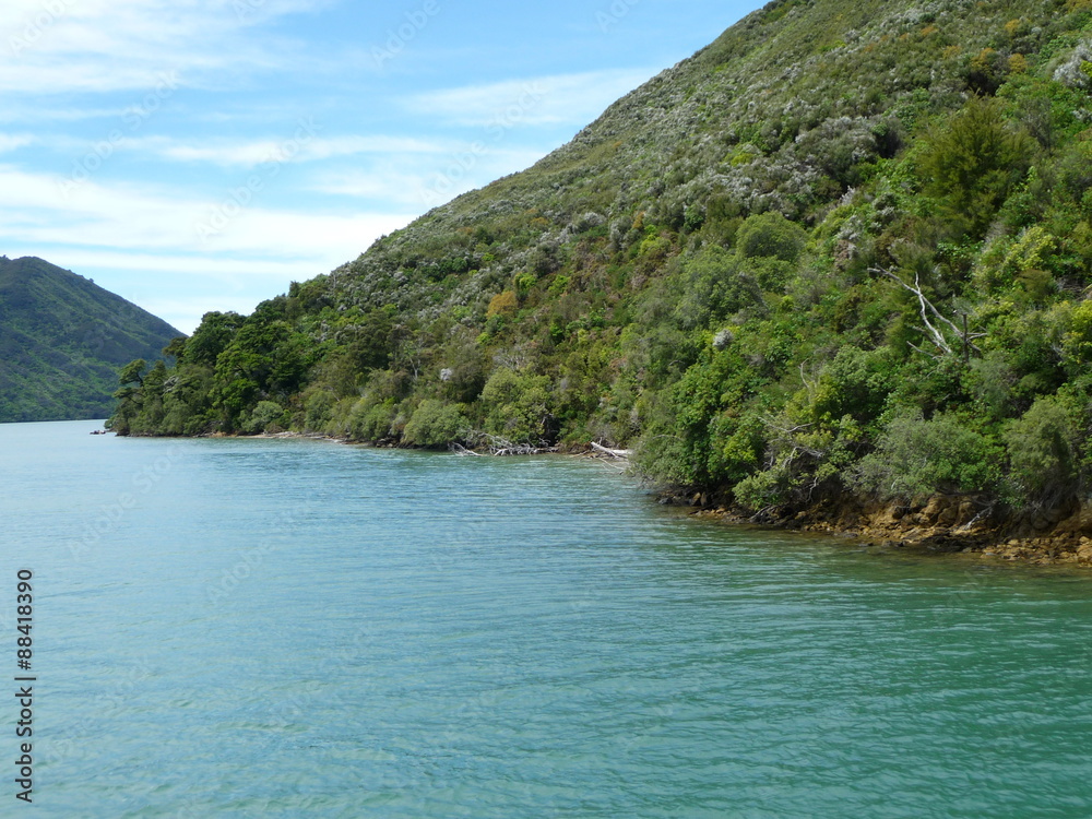 Bootstour durch die Marlborough Sounds, Südinsel Neuseeland Bootstour durch die Marlborough Sounds, Südinsel Neuseeland
