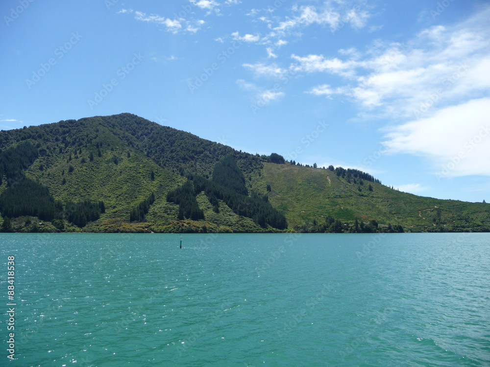 Obraz premium Bootstour durch die Marlborough Sounds, Südinsel Neuseeland