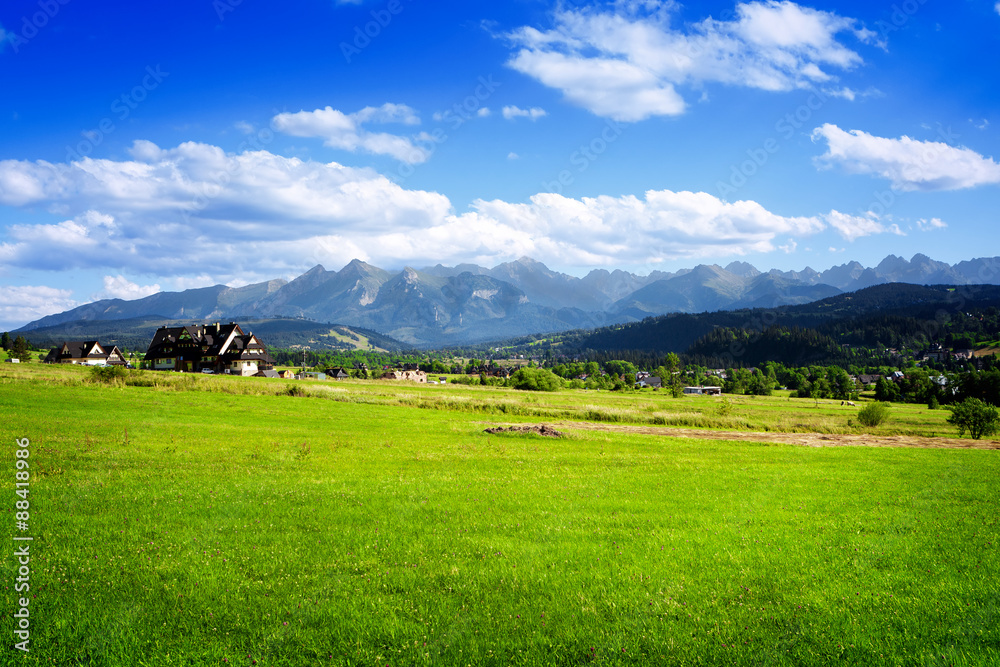 Summer landscape with beautiful mountains