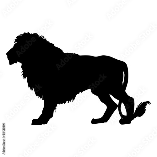 Fototapeta Naklejka Na Ścianę i Meble -  silhouette of a lion