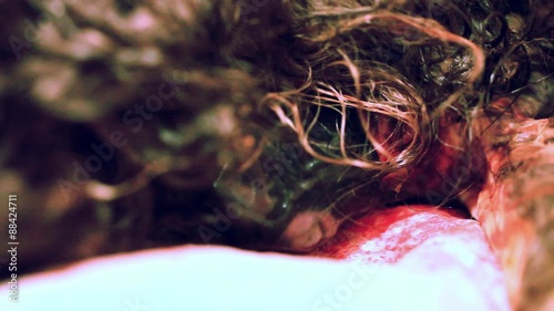 New born kittens from womb maine coon cat