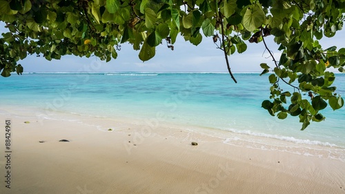 Photos incredibly blue ocean of rarotonga