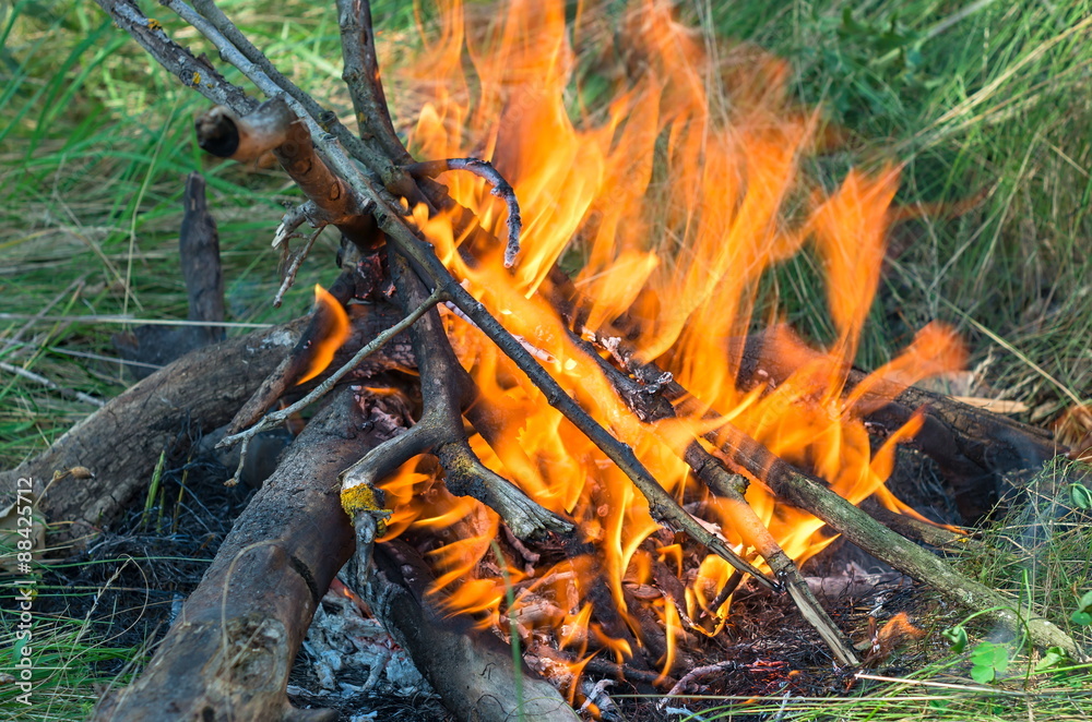 bonfire bonfire