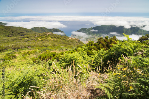 Plateau Paul da Serra in Madeira island